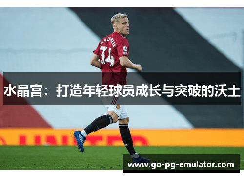 水晶宫：打造年轻球员成长与突破的沃土