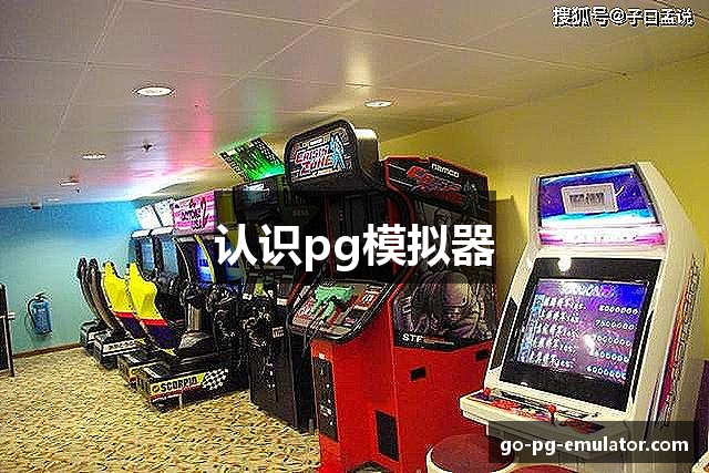 认识pg模拟器